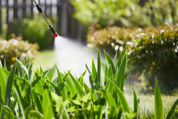 24/7 Emergency Wasp Removal experts in Rainbow Park, FL