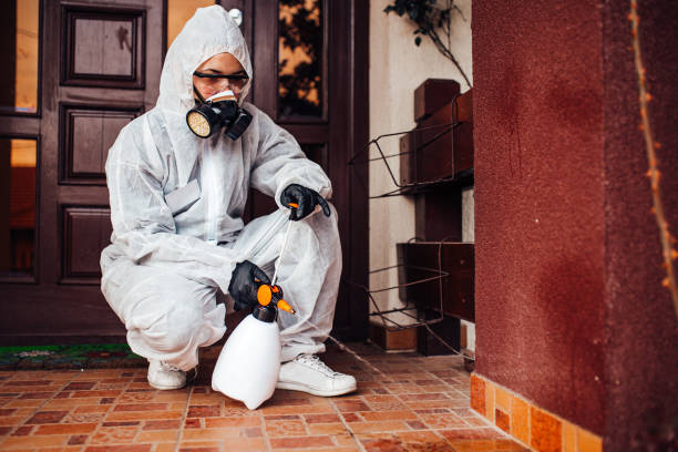 Reliable Wasp Removal contractor in Rainbow Park, FL by Show Me Pest Control