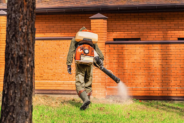 Top rated local Wasp Removal specialists in Rainbow Park, FL